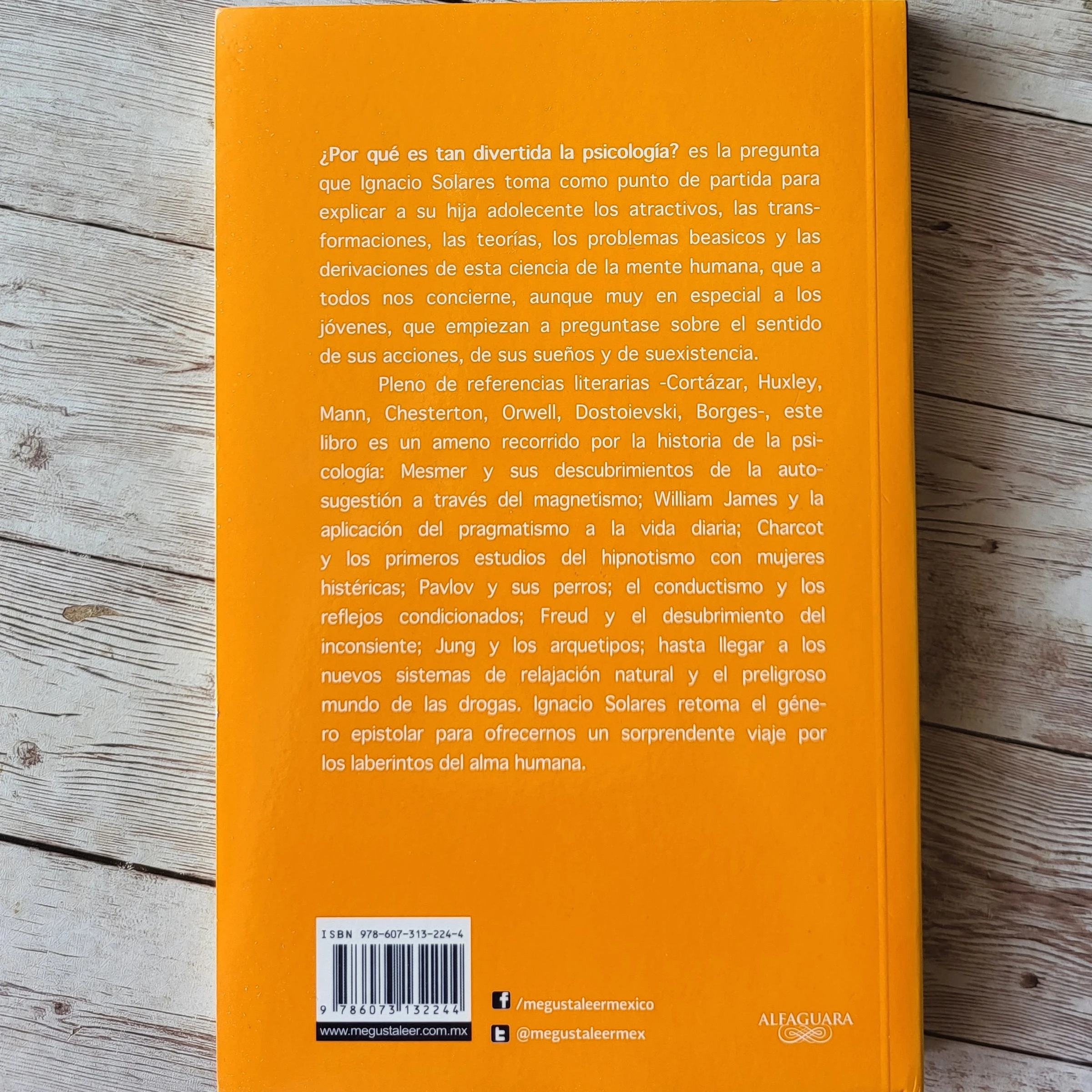Cartas a una joven psicóloga / Ignacio Solares / Psicologia 2