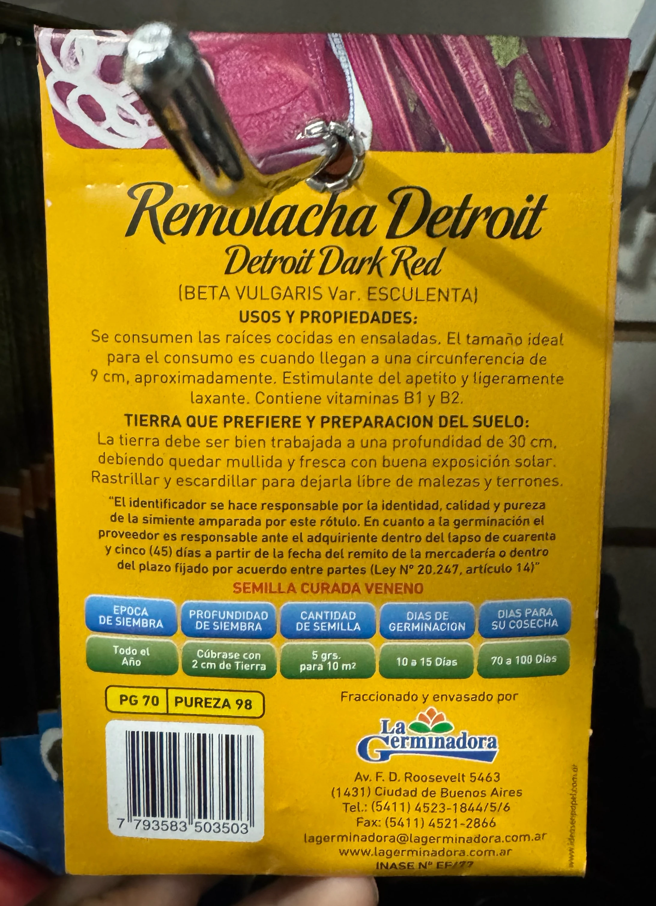 Remolacha detroit 2