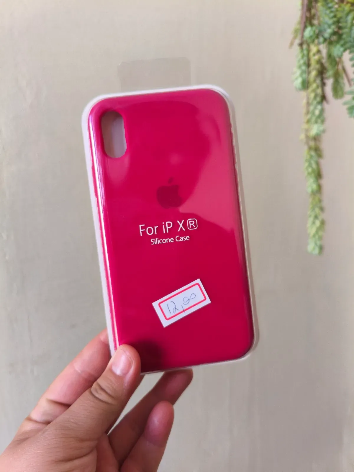  XR