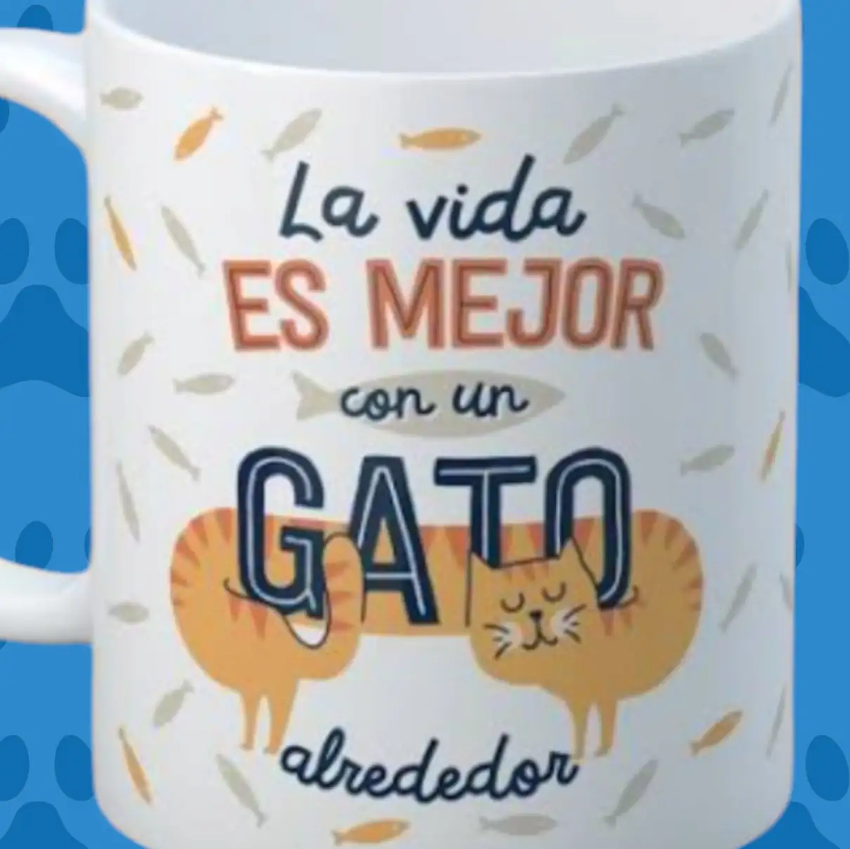 Gato