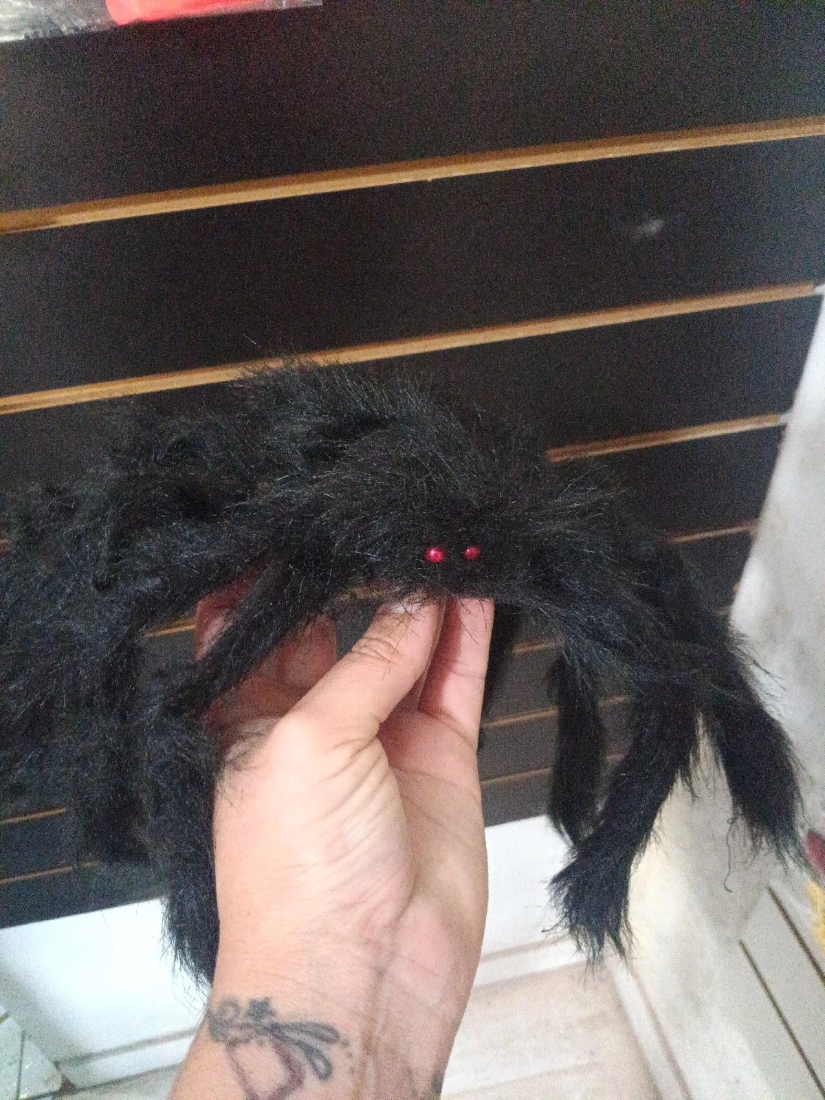 Araña Peluda