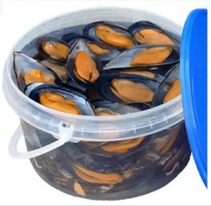 Mejillon Concha en su Jugo
