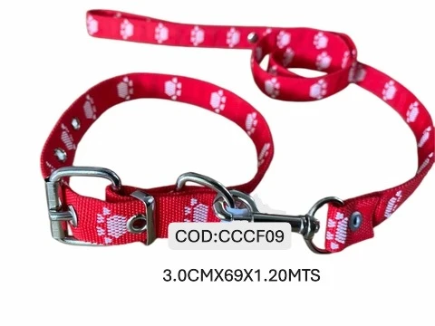 CONJUNTO T9 COLLAR+CORREA