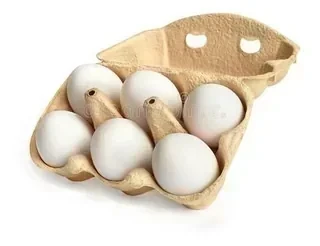 HUEVOS X 6 UNIDADES