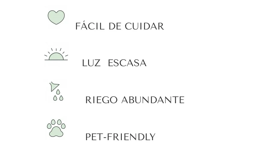 HELECHO MINI 3