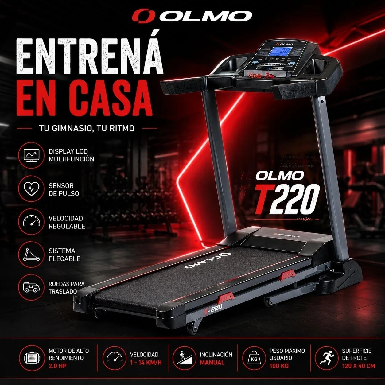 CINTA OLMO T-220
