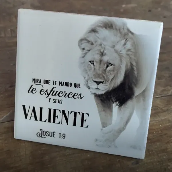 Plaqué de cerámica