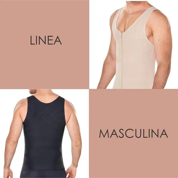 Linea masculina 