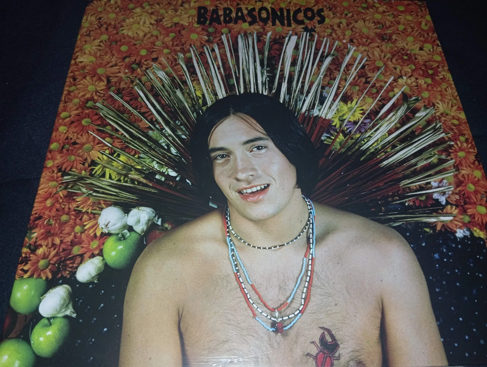Babasonicos - Pasto (VINILO)(ARGENTINA)