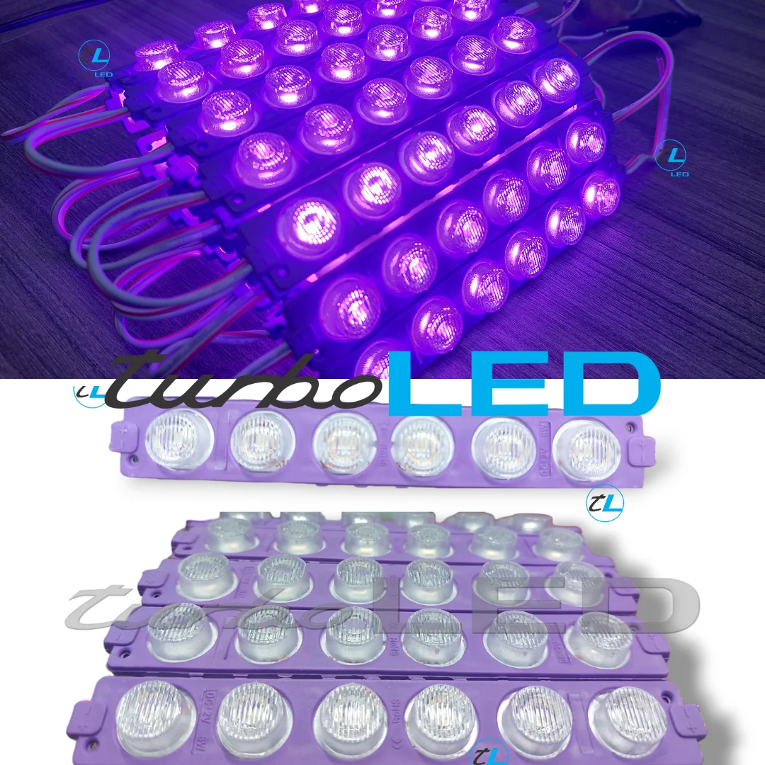 MODULO 6 LUPAS 24V (104308)