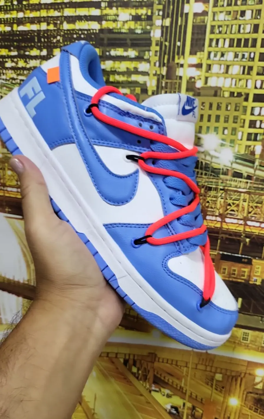 NIKE SB CABALLERO AAA