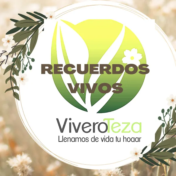 Recuerdos vivos