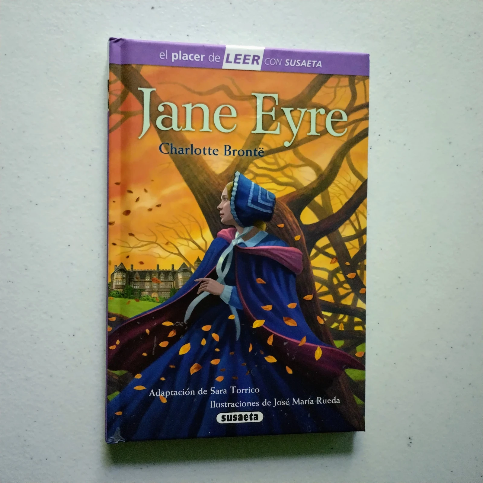 Jane Eyre, Charlotte Brontë, infantil 