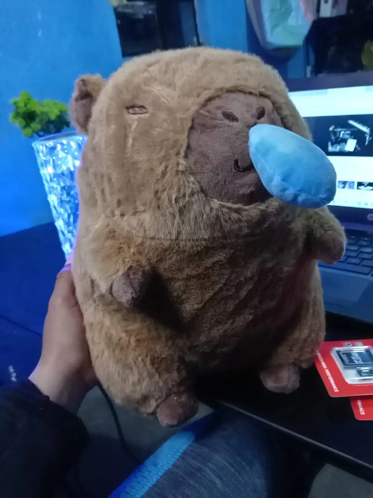 Capibara vibrante  3