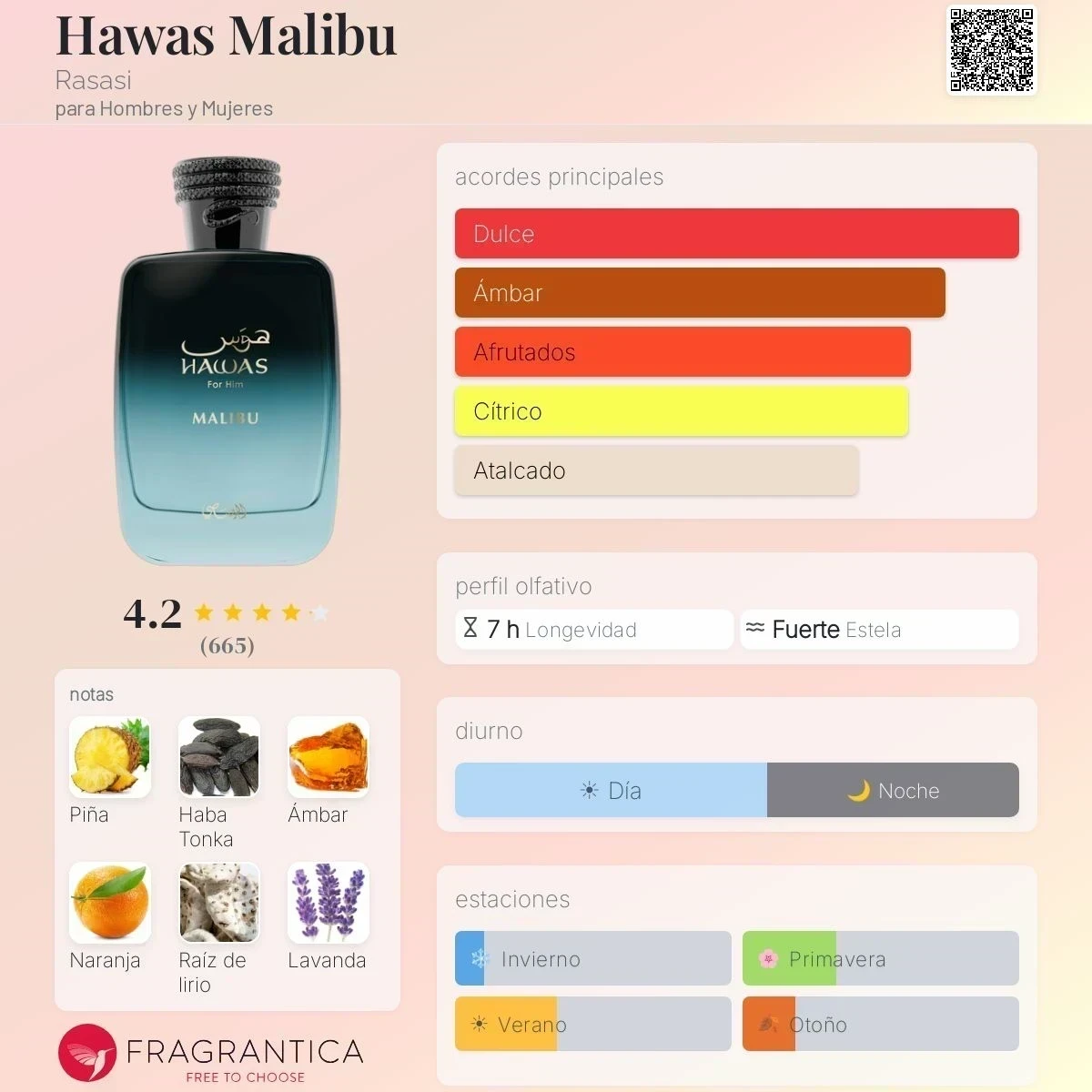 1.1 - Hawas Malibu Rasasi - Unisex  2