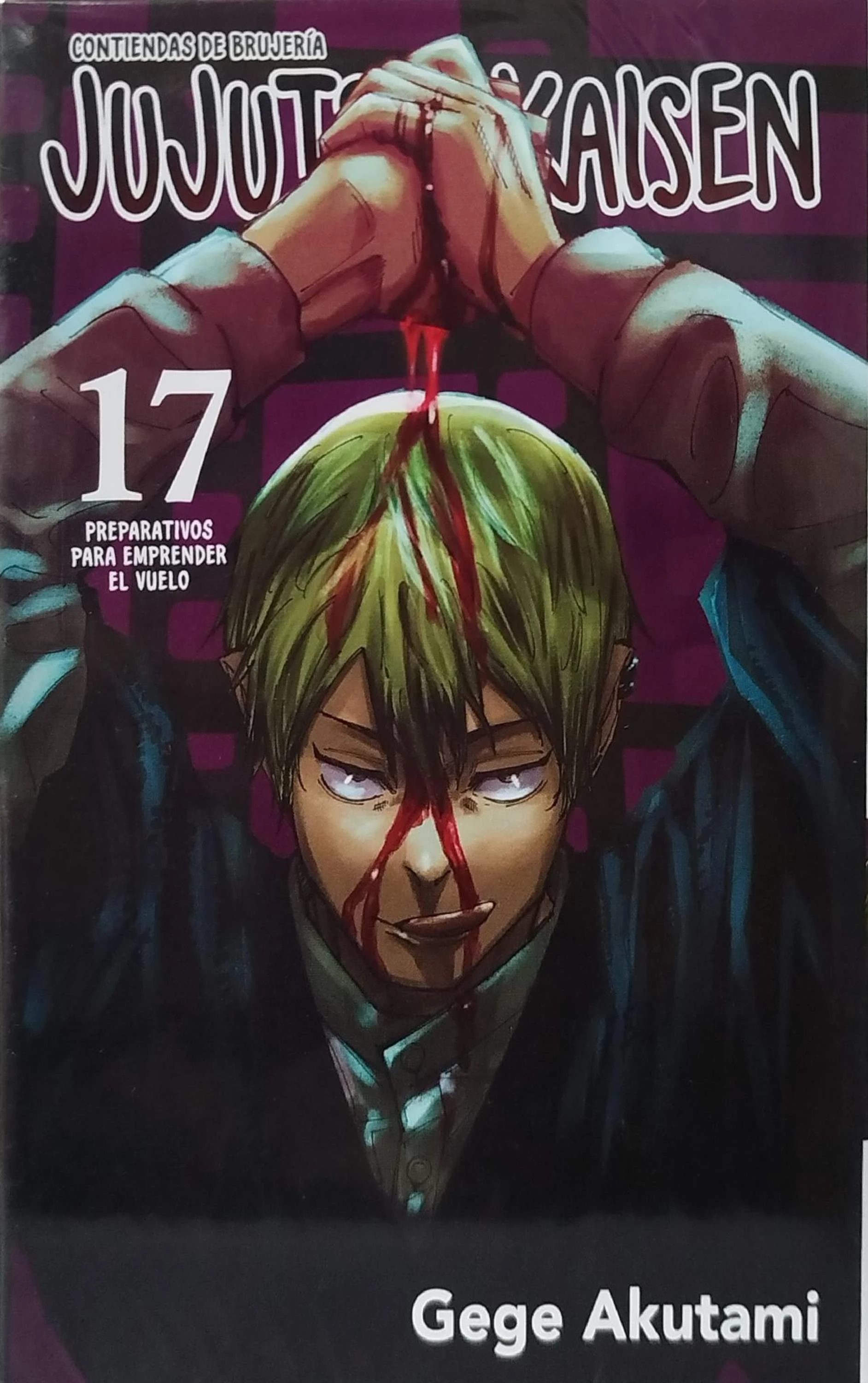 JUJUTSU KAISEN 17