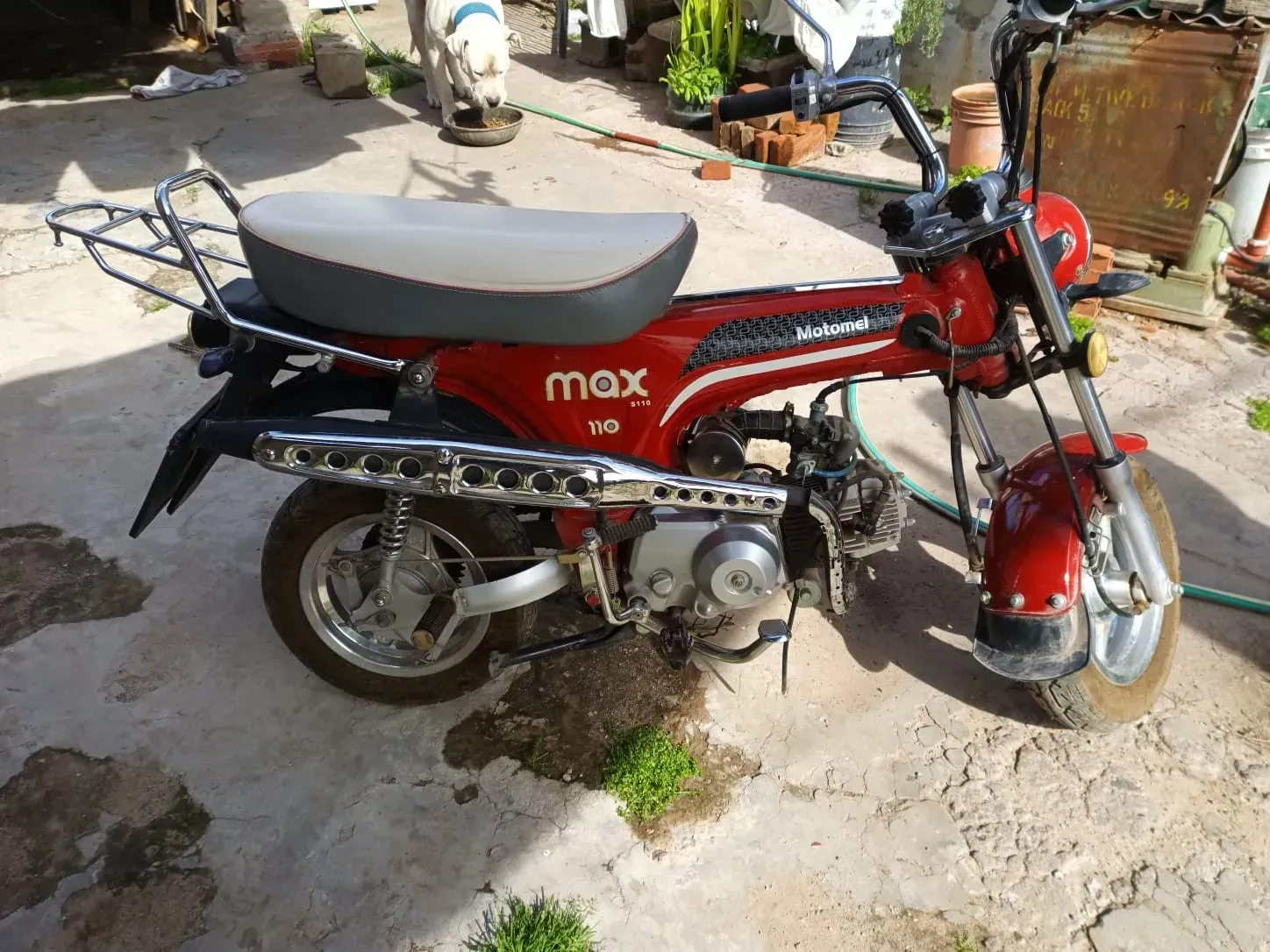 Modelo 2018 110 cm 4