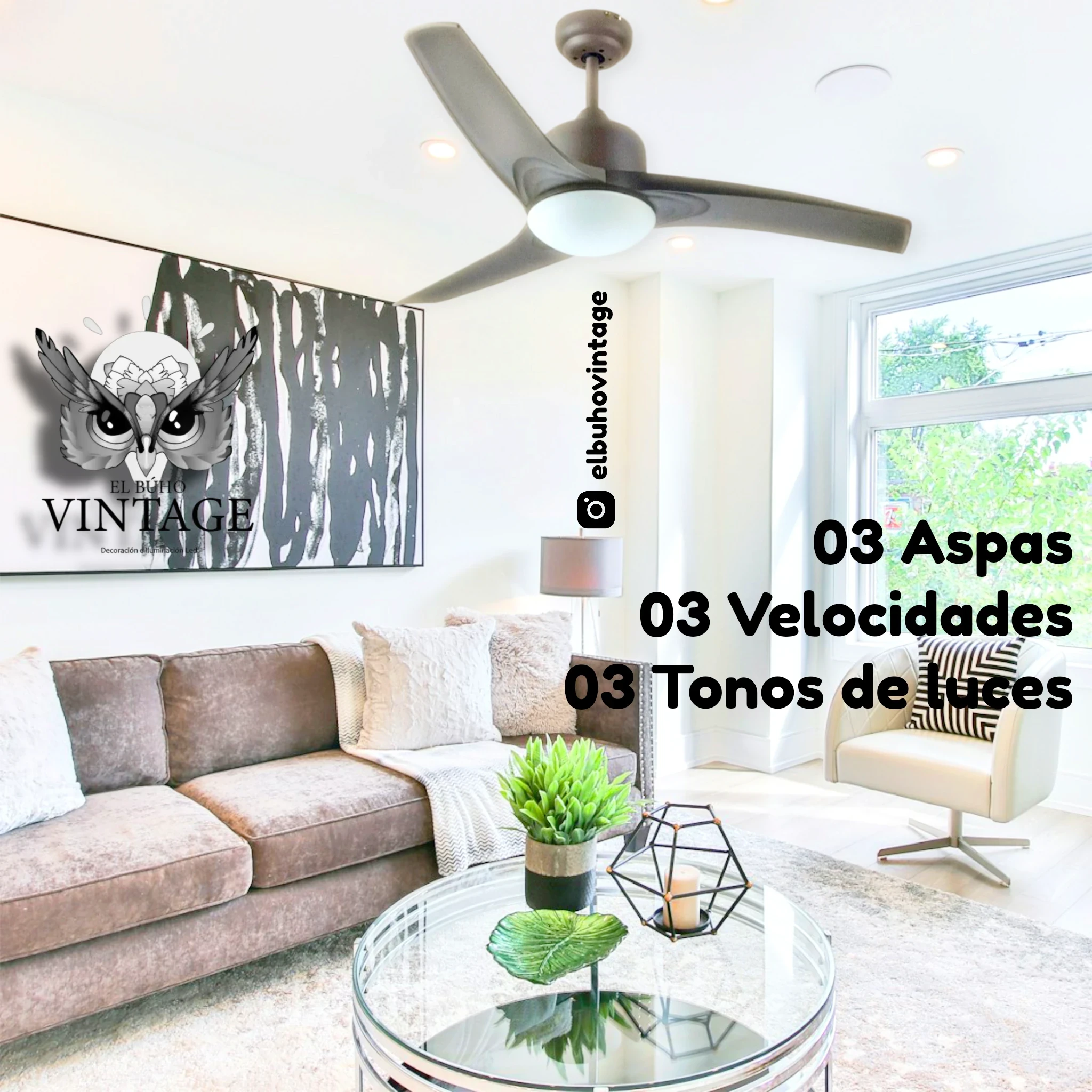 Lámpara Ventilador 42"  3