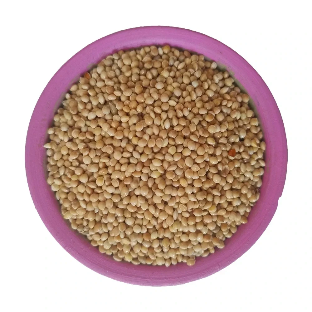 Semillas de Mijo Blanco 1 Kg Smb-33 2
