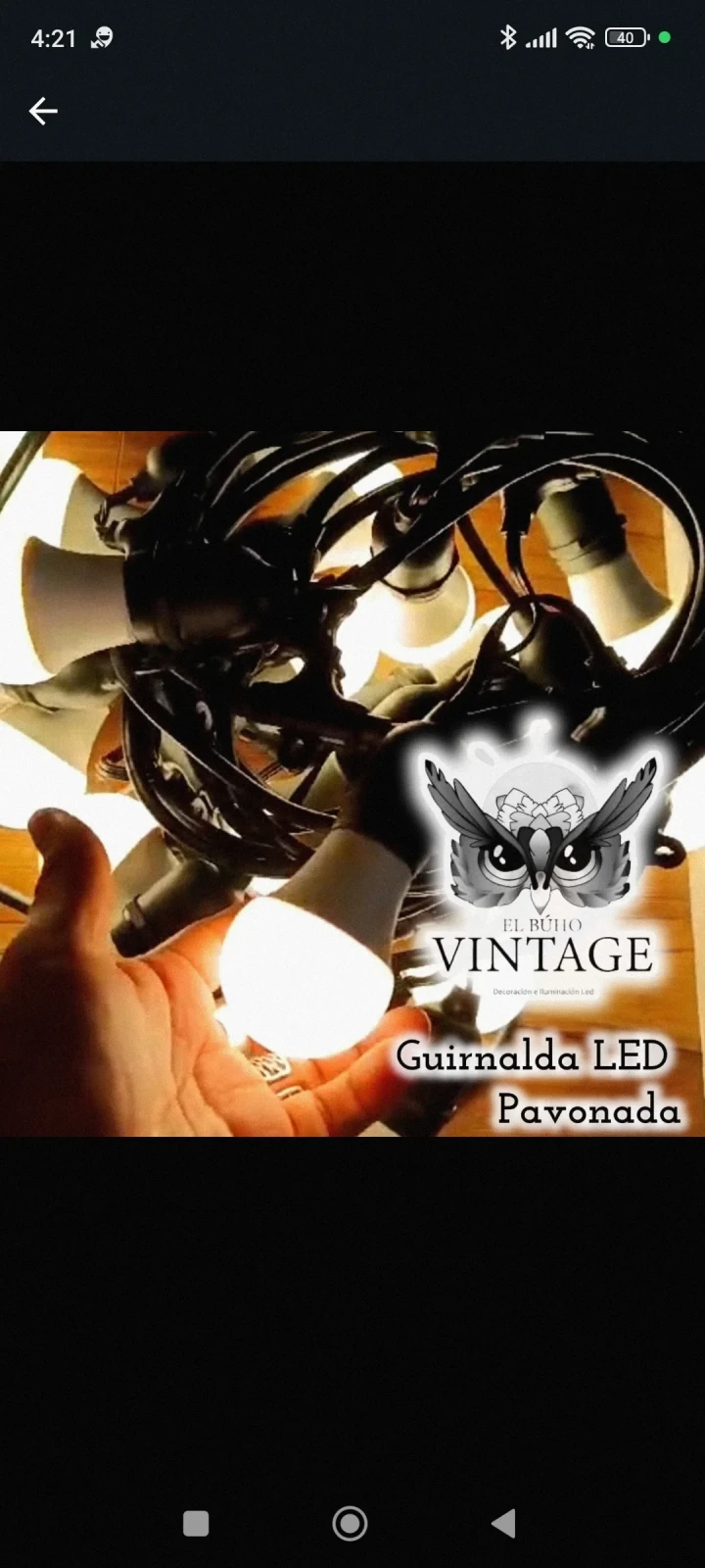 Guirnalda LED Decorativa Pavonada
