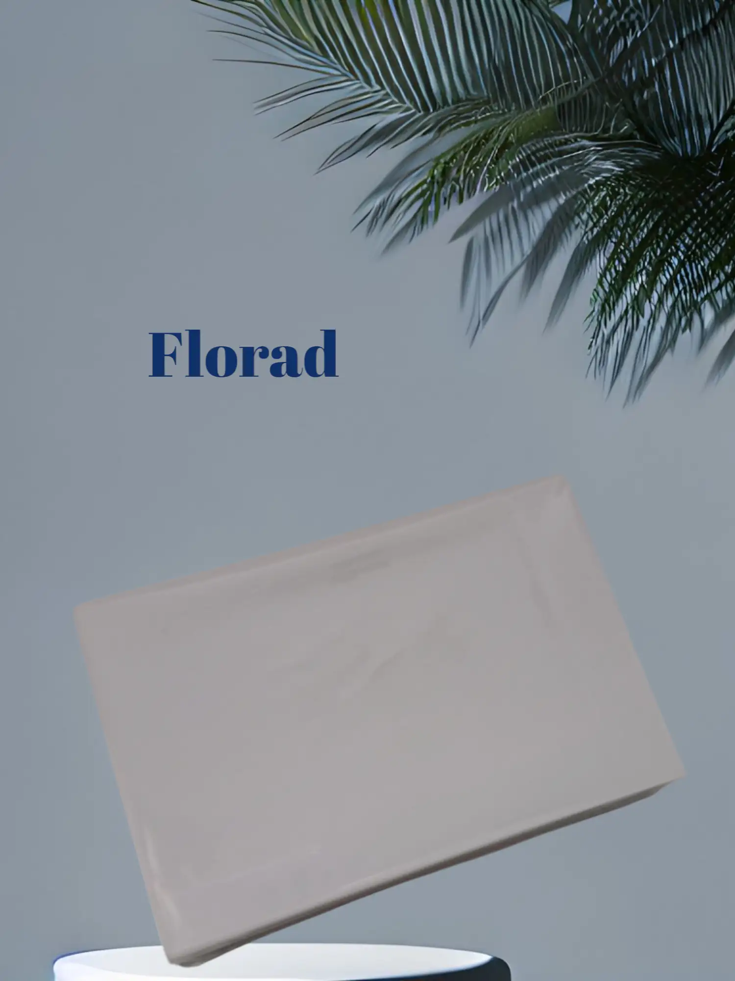 Fichas bibliográficas