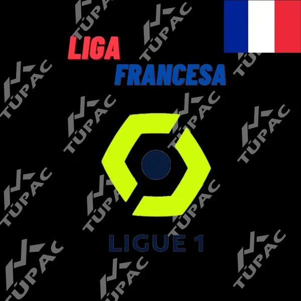 LIGUE 1