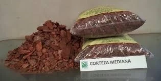 Corteza de pino 60dm. chips 2