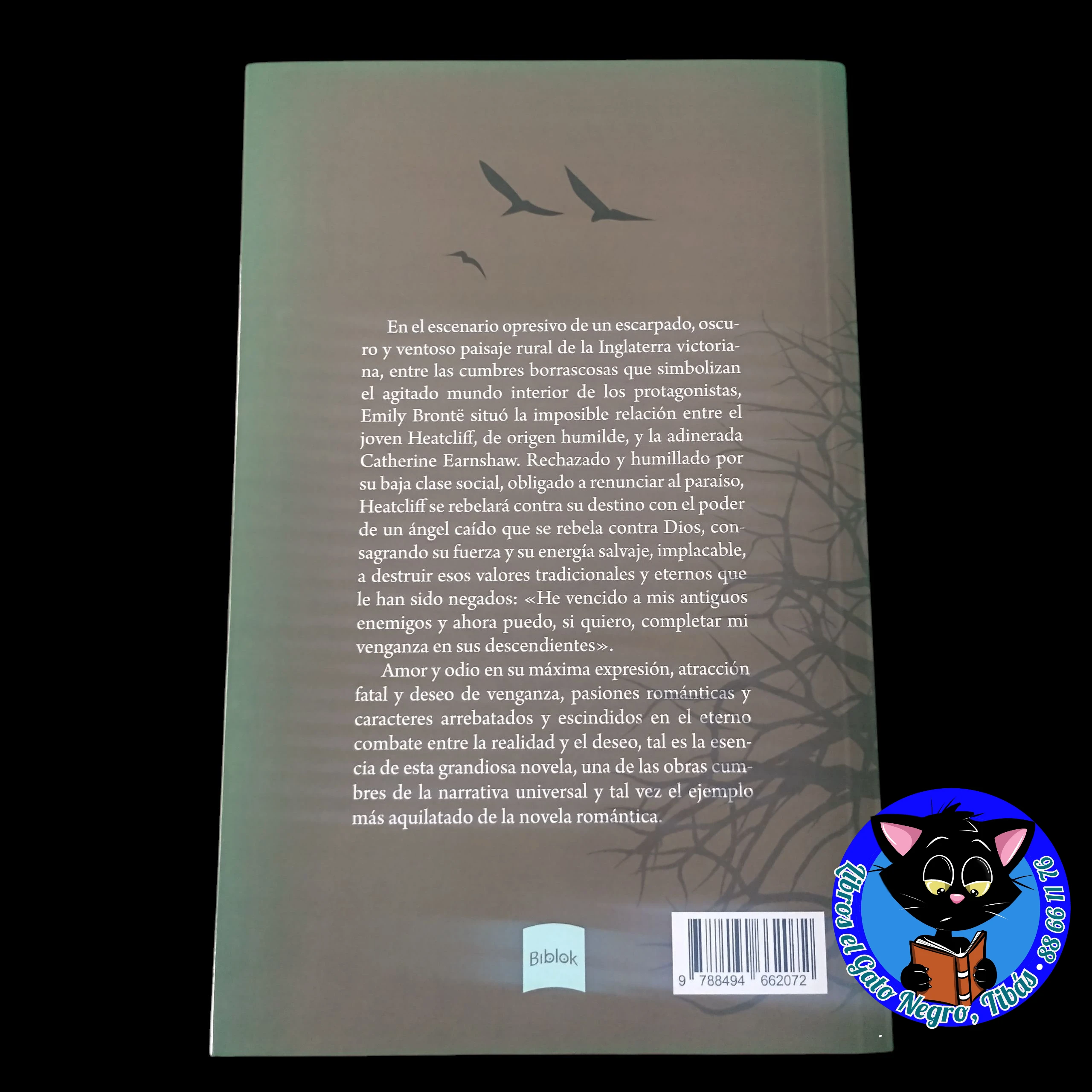 Cumbres Borrascosas Emily Bronte, nuevo 2