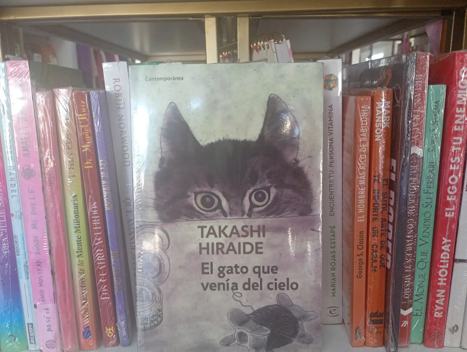 El gato vque venia del cielo 