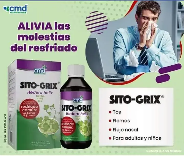 SITO - GRIX ( hedera helix) 