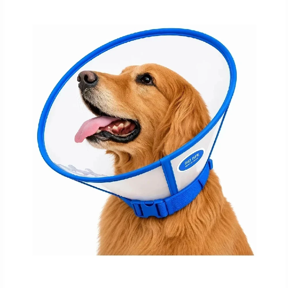 Collar Isabelino cónico de plástico durable azul