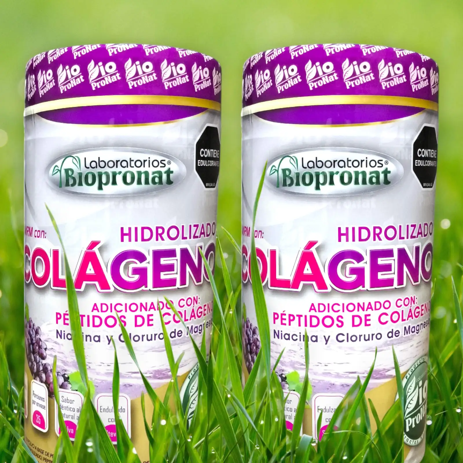 Colágeno hidrolizado + Niacina + Cloruro de magnesio 
