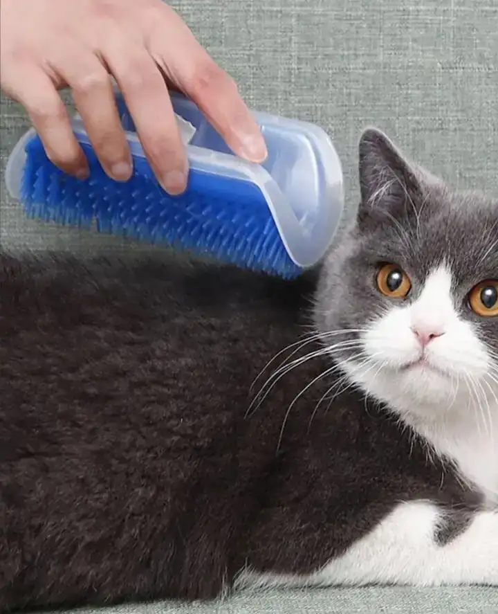 Masajeador de gato 2