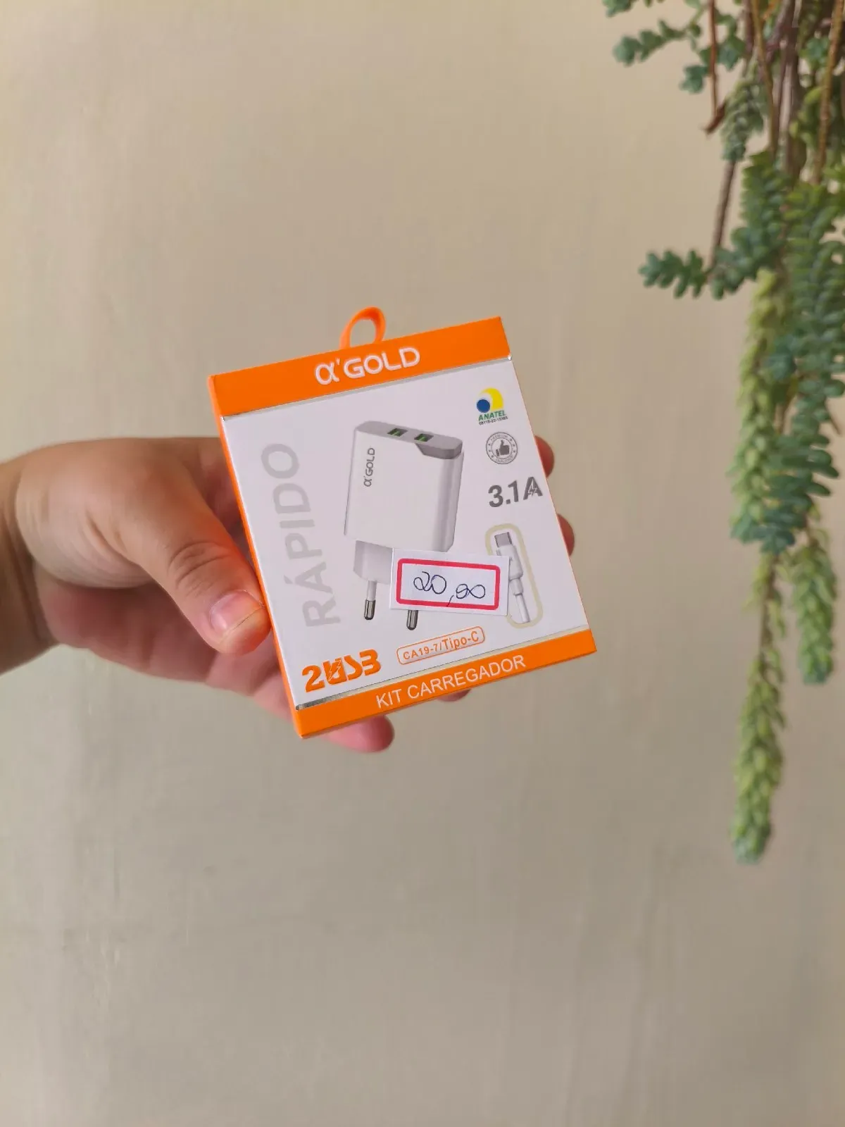 Kit Carregador Tipo C