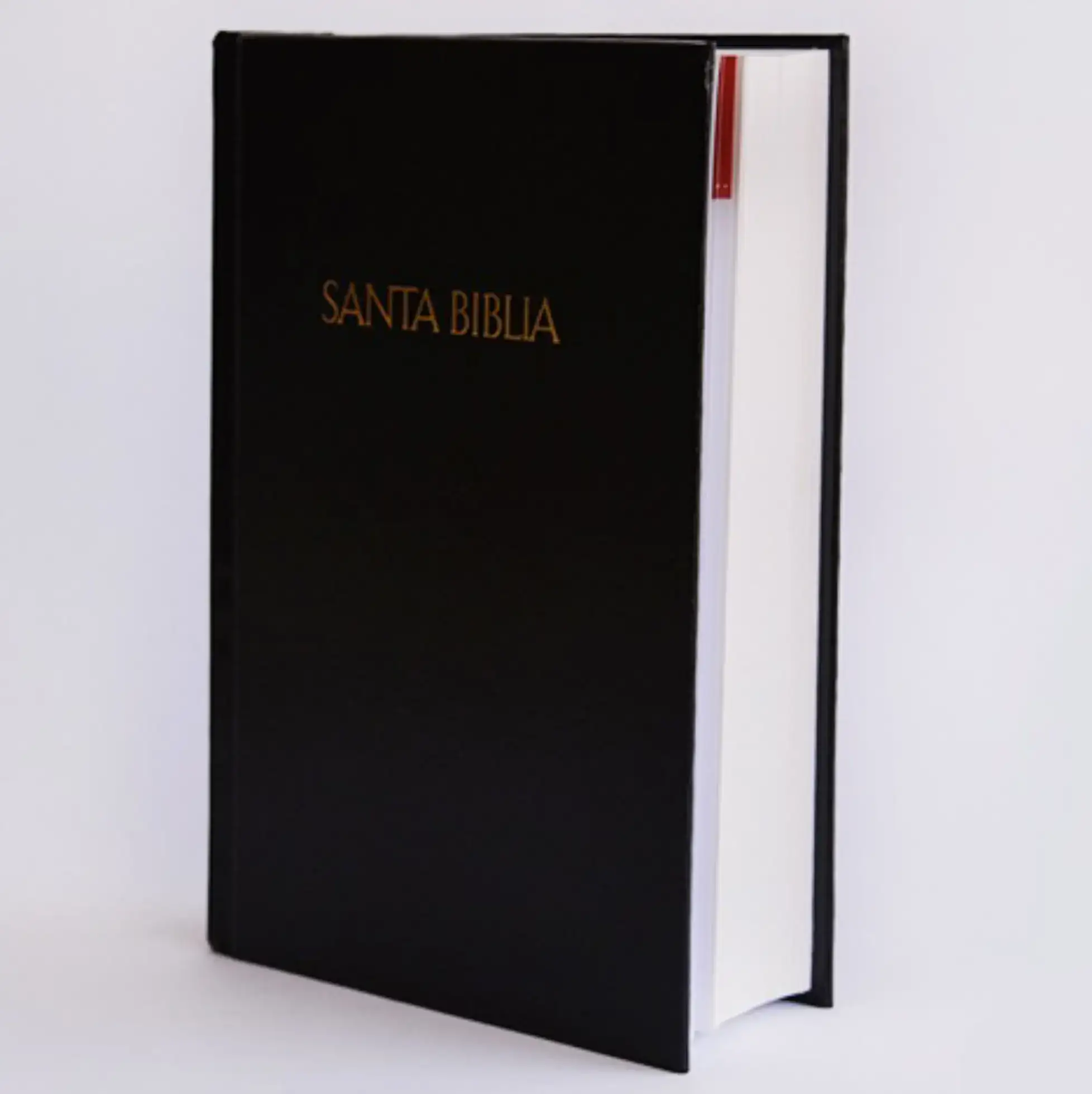 Santa Biblia LG Manual RVR60