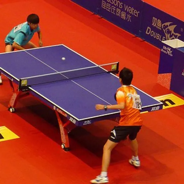 TENIS DE MESA