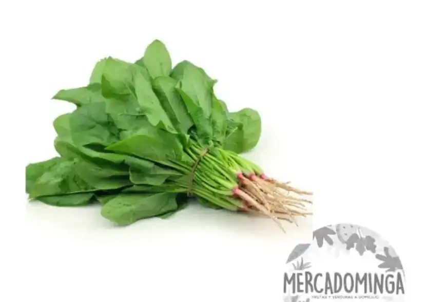 Espinaca