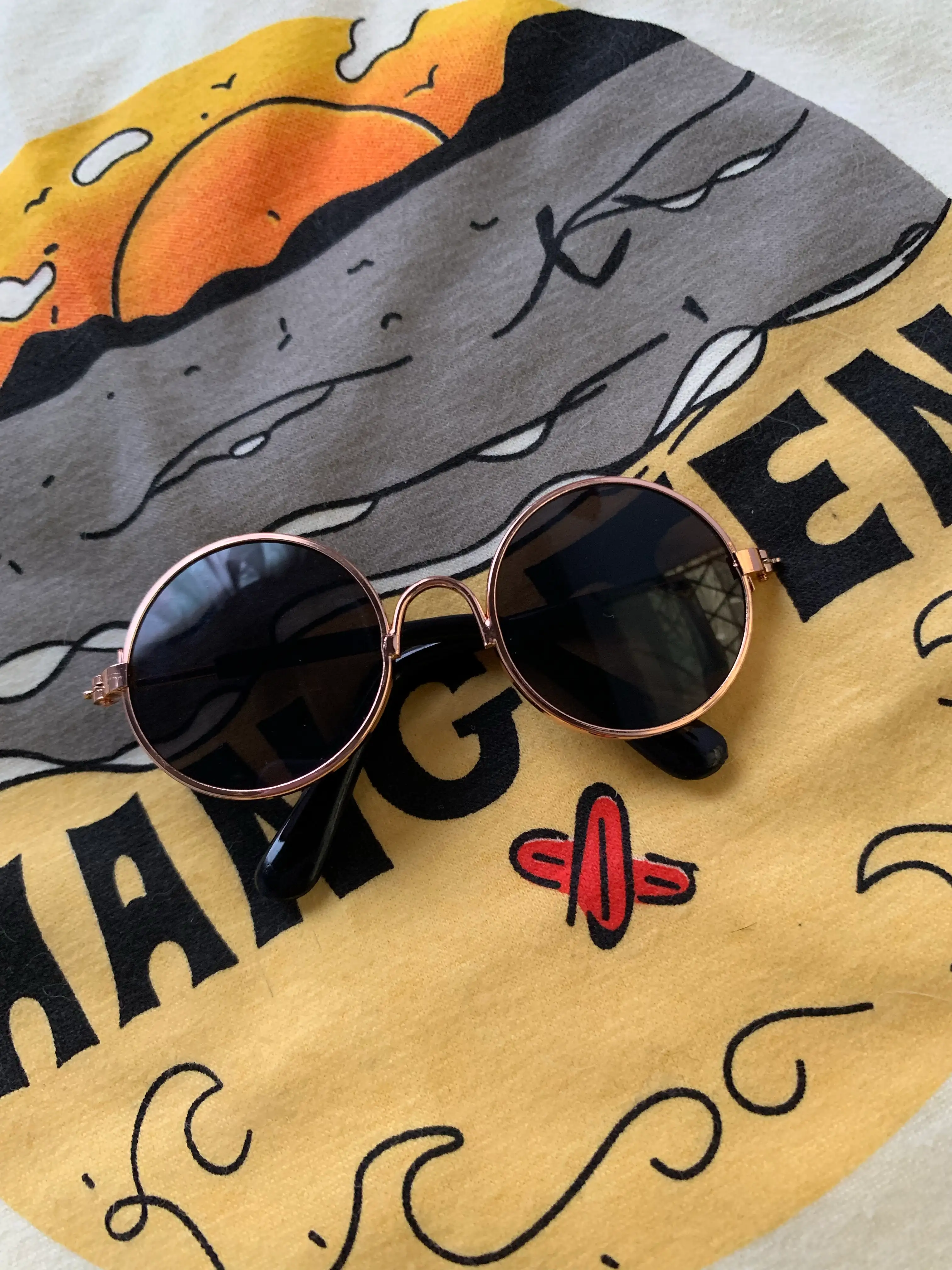Gafas mascotas