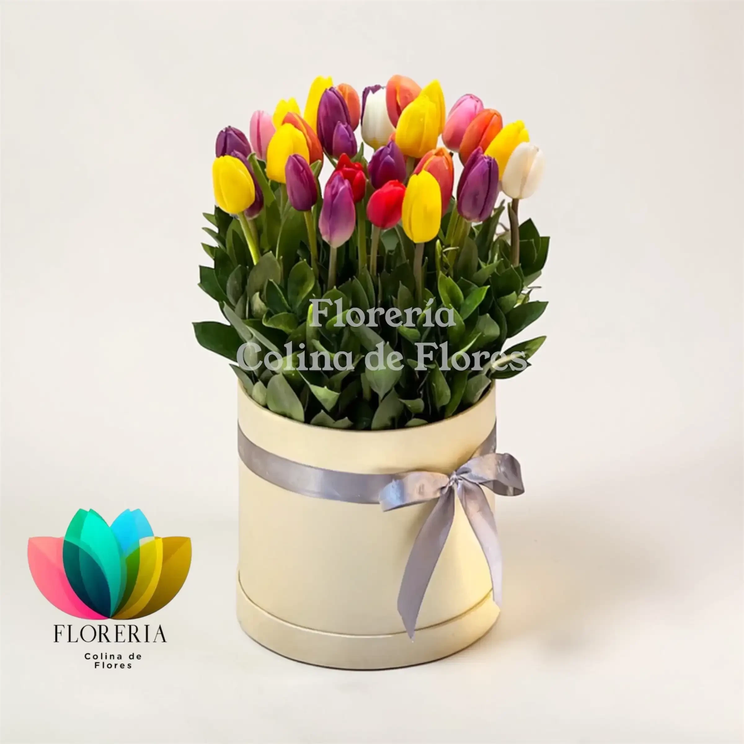 Tulipanes  2