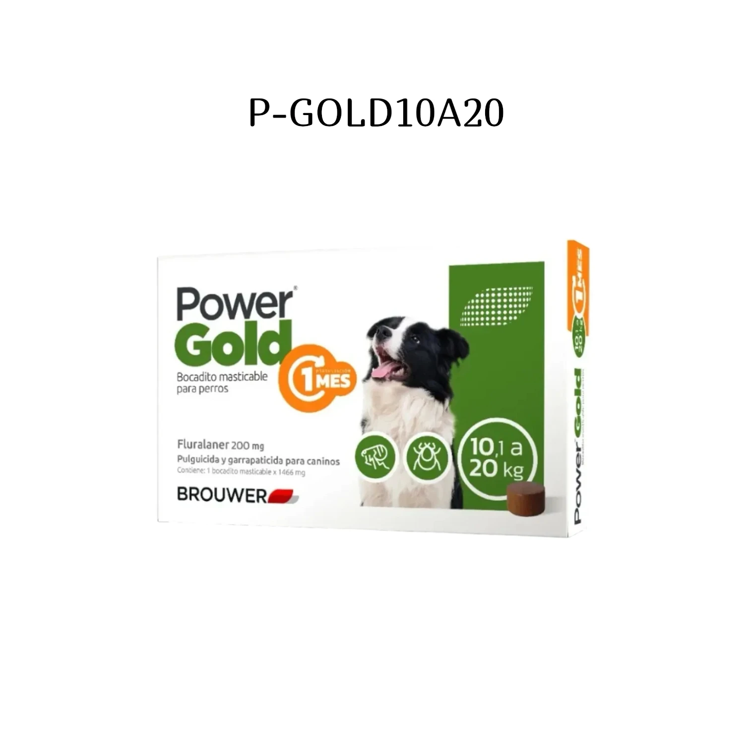 Power Gold 10 a 20kg