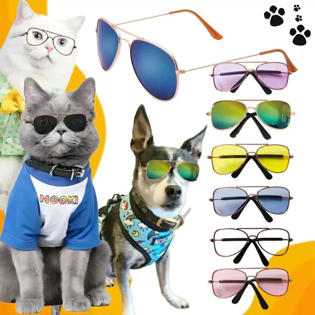 Anteojos para Mascotas