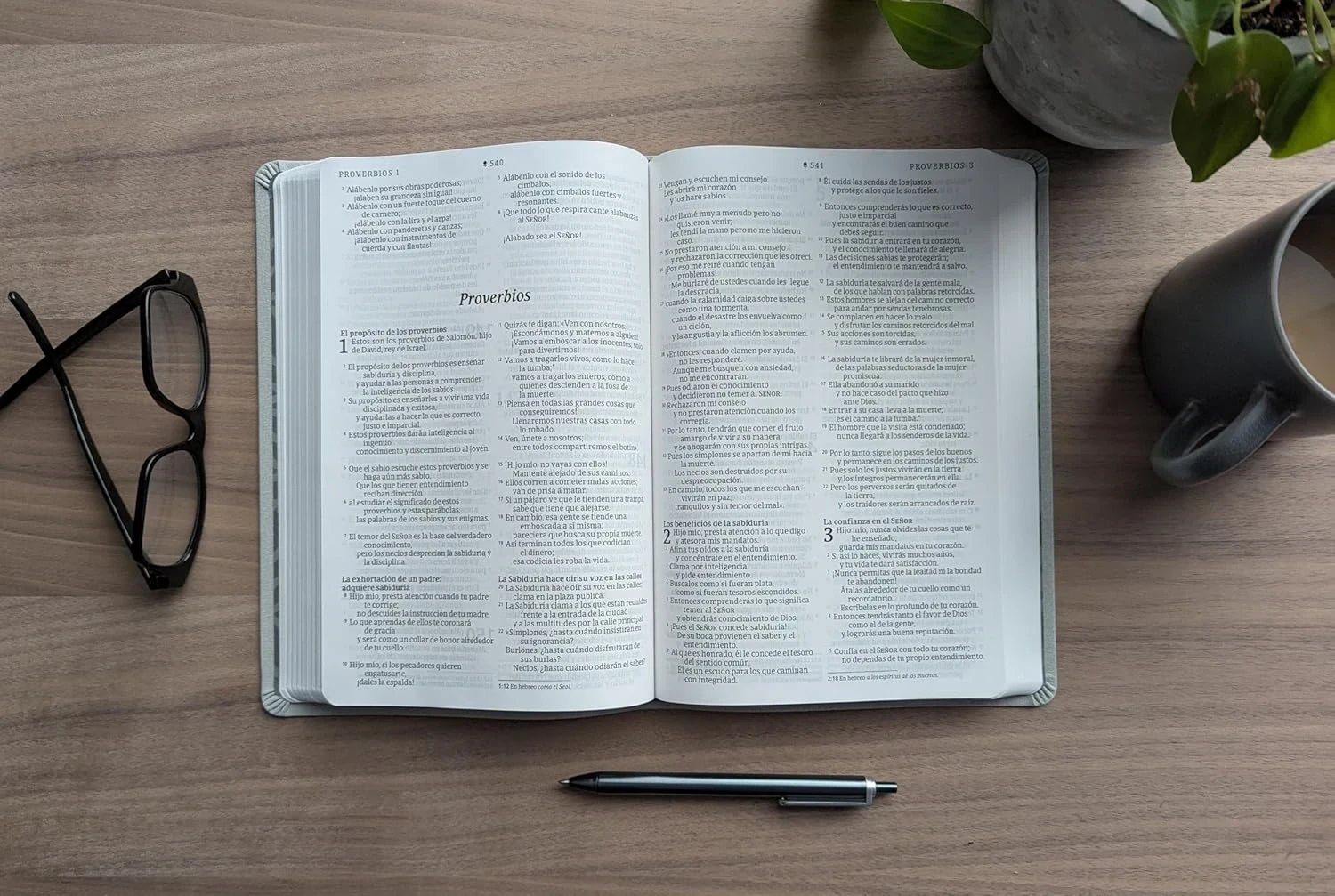 Biblia valor premium NTV letra grande sentipiel gris 2