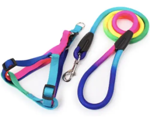 ARNES MULTICOLOR