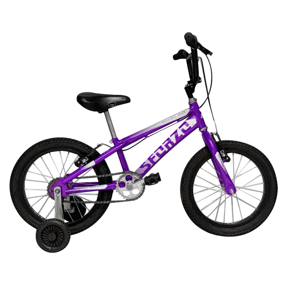 Bicicleta Rin20 Con apoyo  5