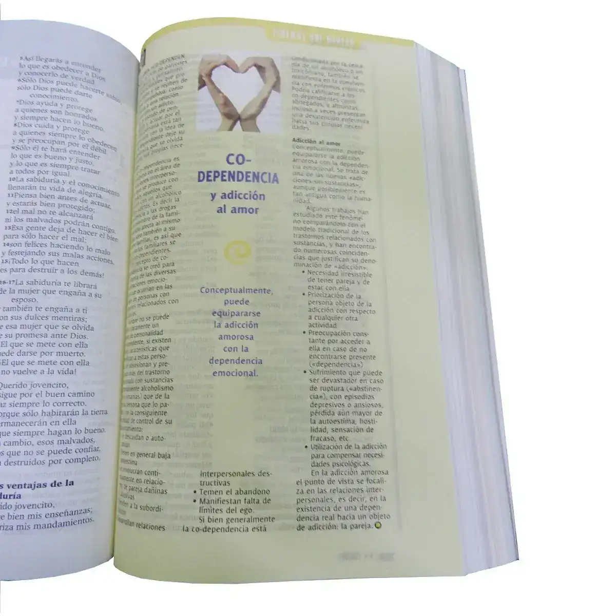 Biblia ISHA para mujer TLA 3