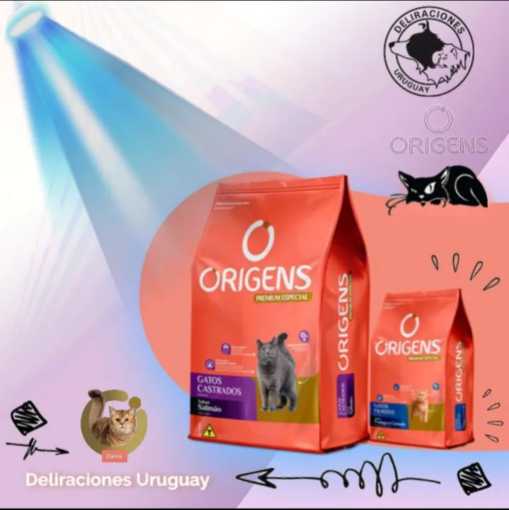 Origens gato castrado