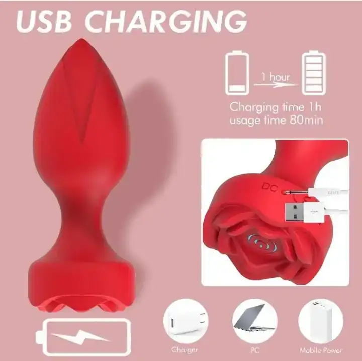 Plug anal con Vibrador  2