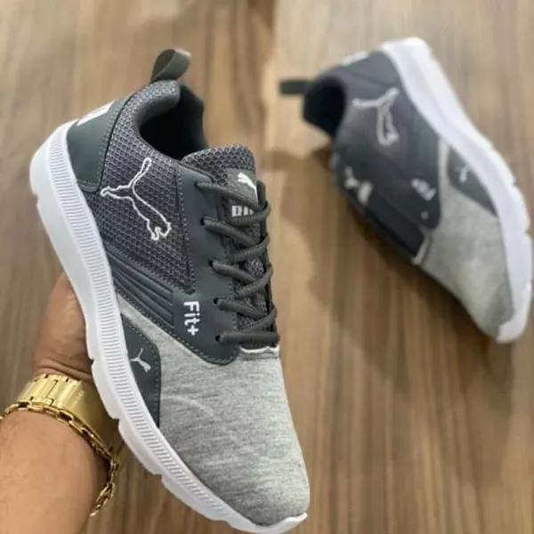 Puma 2