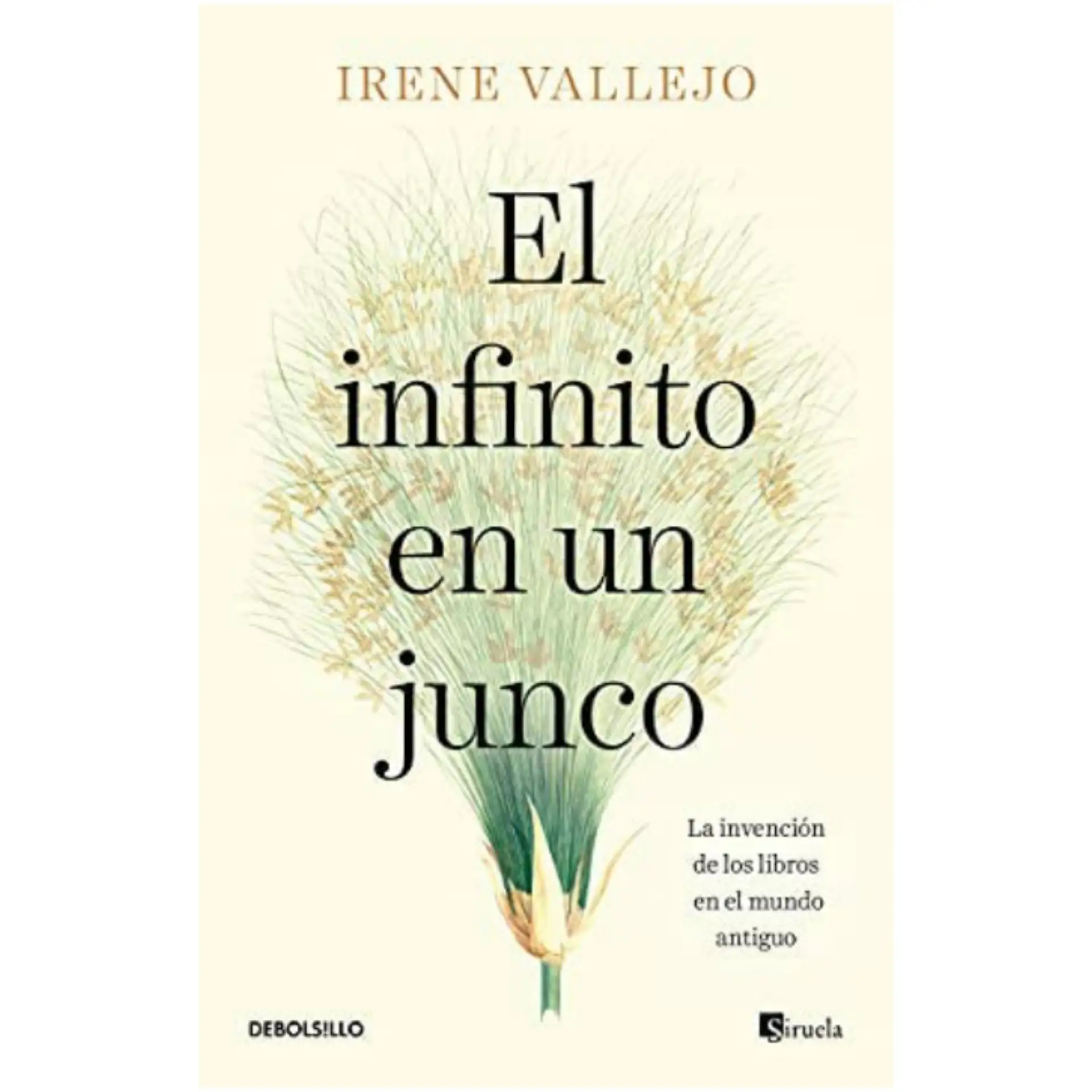 El infinito en un Junco 