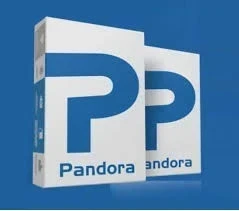 Licencia Pandora 12 meses